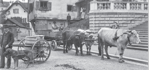 Mehr über den Artikel erfahren Start der IGL-Vortragsreihe 2026: Arbeitstiere in der Geschichte